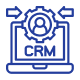CRM Consulting